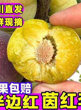 【半边红】四川李子半边红应季水果脱骨非青脆李