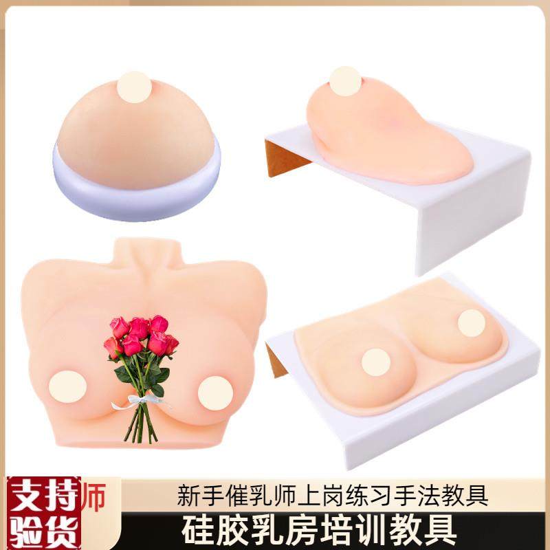 女性乳房模型催乳师培q训道具哺乳教学模型硅胶假乳房医学教具,玩具/童车/益智/积木/模型,其他模型玩具,淘宝优惠券,粉丝福利购,淘宝优惠卷