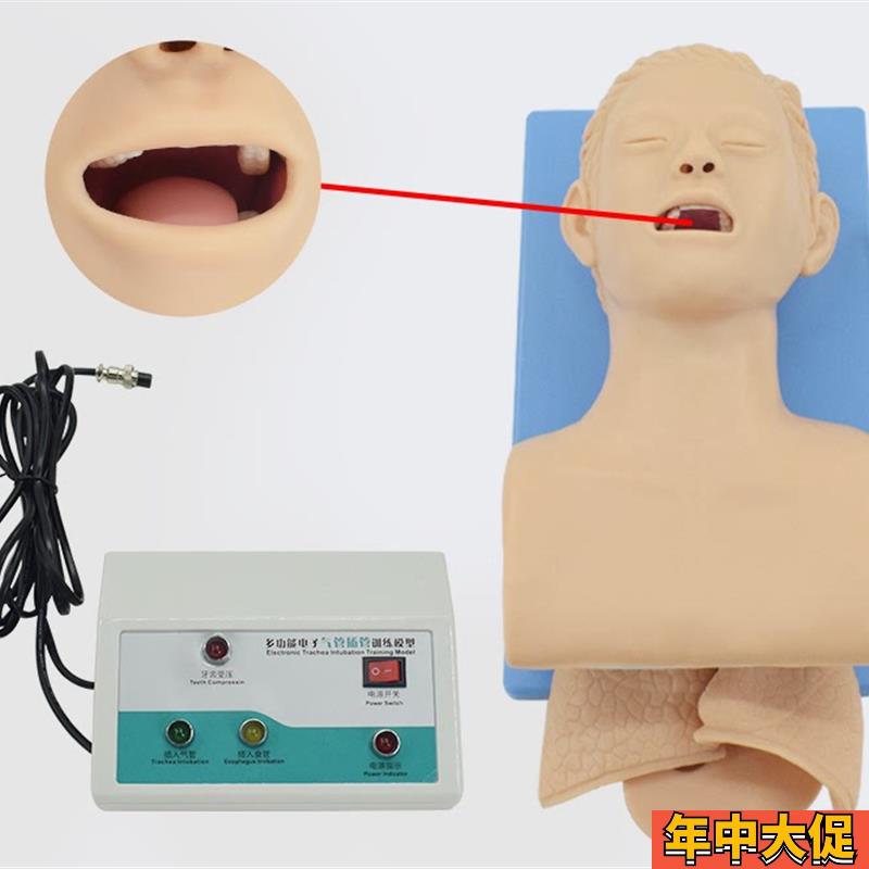电子人体气管插管训p练模型带牙齿受力报警 成人气道插管模具
