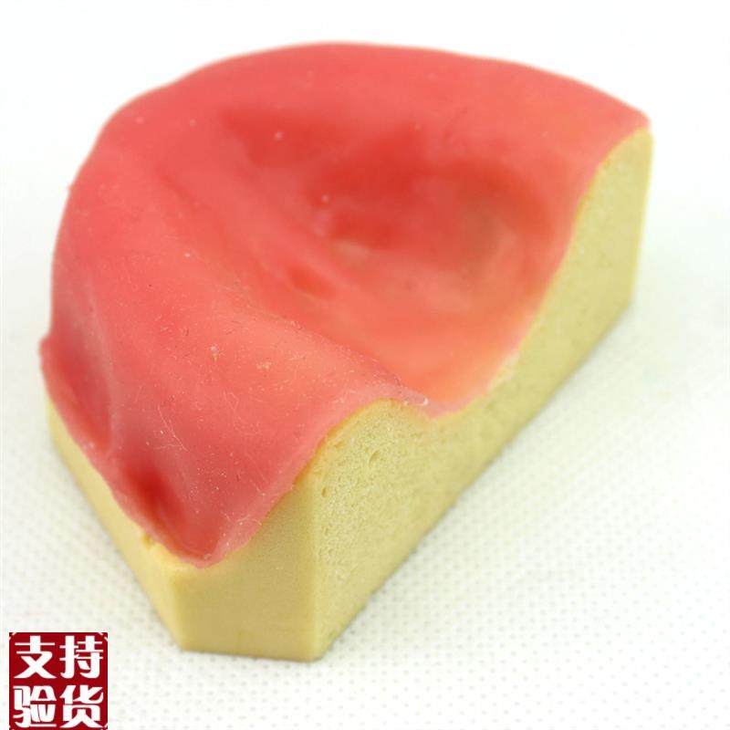 ENOVOc颐诺口腔即刻种植模型仿真下颌骨附牙龈模型种植牙训练培训,文具电教/文化用品/商务用品,教学标本/模型,淘宝优惠券,粉丝福利购,淘宝优惠卷