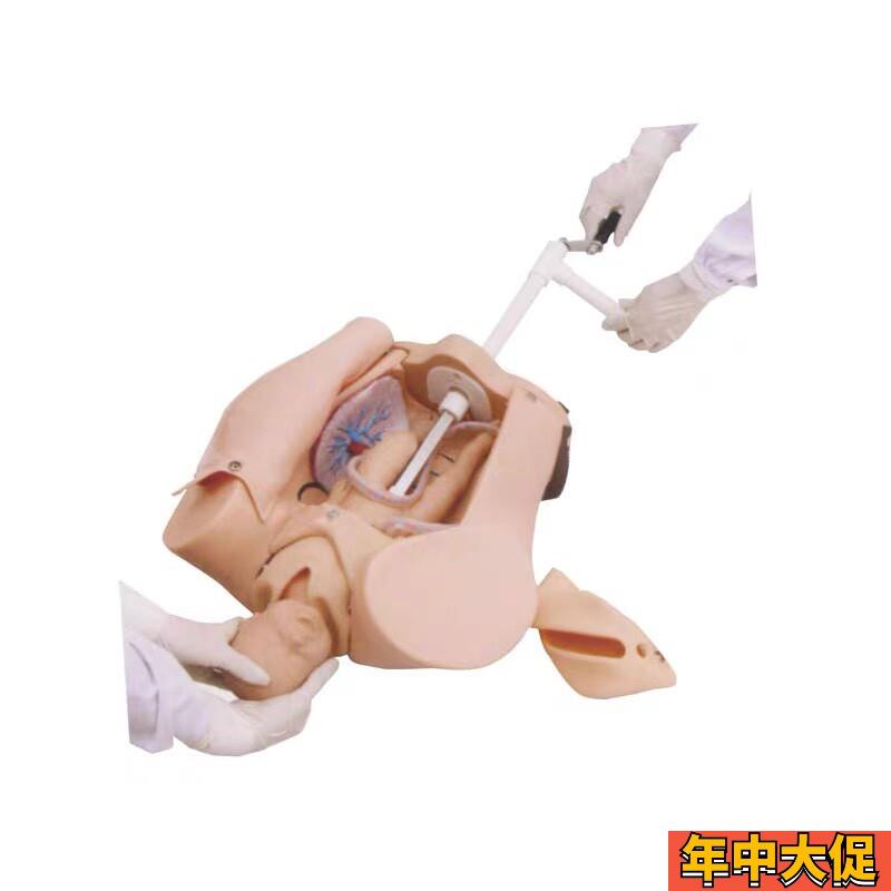 上海医模YM/F53高级手摇分娩X机制示教模型