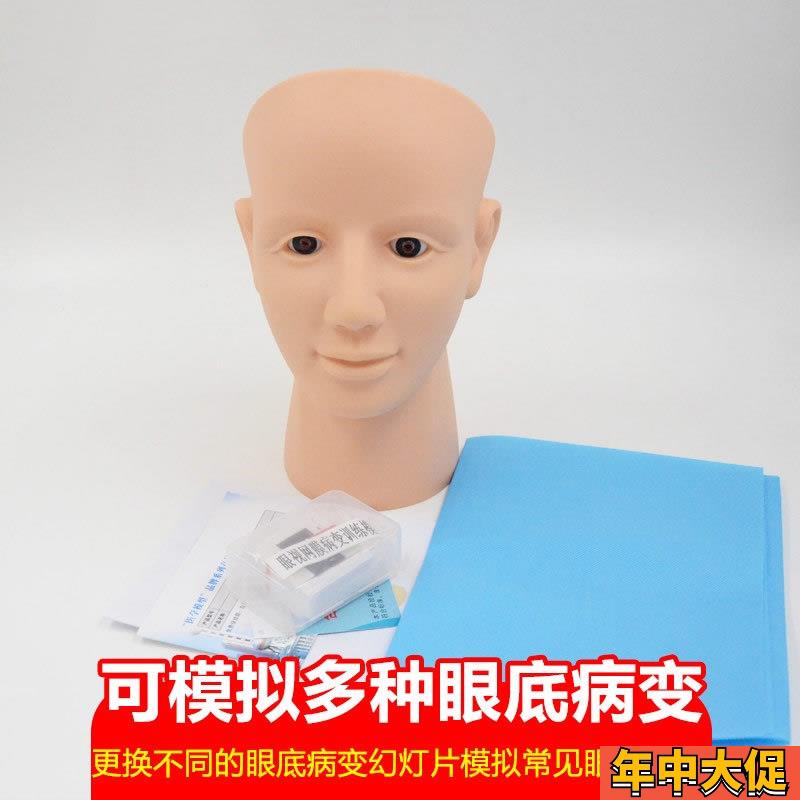 眼视网膜病变检l查模型眼底检查病变诊断技巧教具视网膜模型