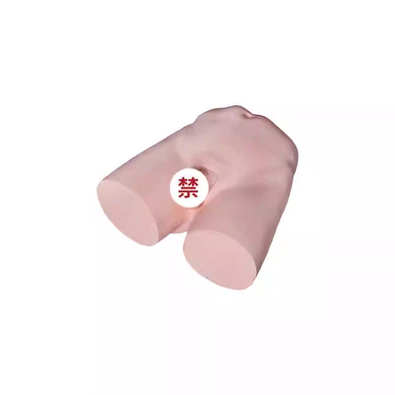 输精管结扎术训练模型男F性外阴绝育练习模拟人