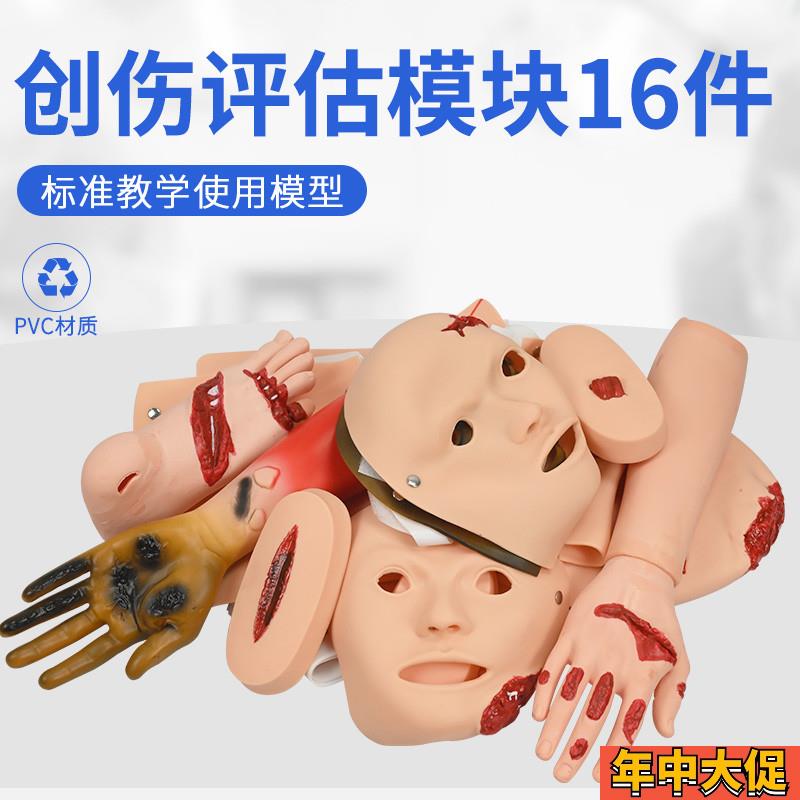 高级创伤评估模块/烧伤创s伤四肢模型/撞伤面皮 手脚 四肢模型烧