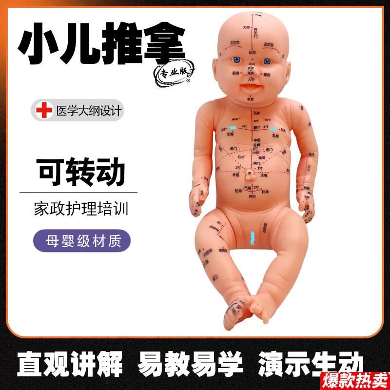 小儿推拿模型全身穴位家政月嫂培训教学模型宝妈G学习练手仿真娃