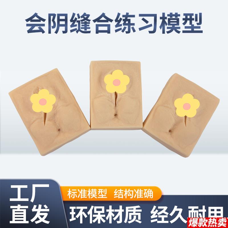 女性会阴缝合模型会阴撕裂缝合模型妇产科会x阴切开缝合模型