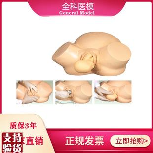 助产训练模型医学妇产科培训O难产分娩示教模具