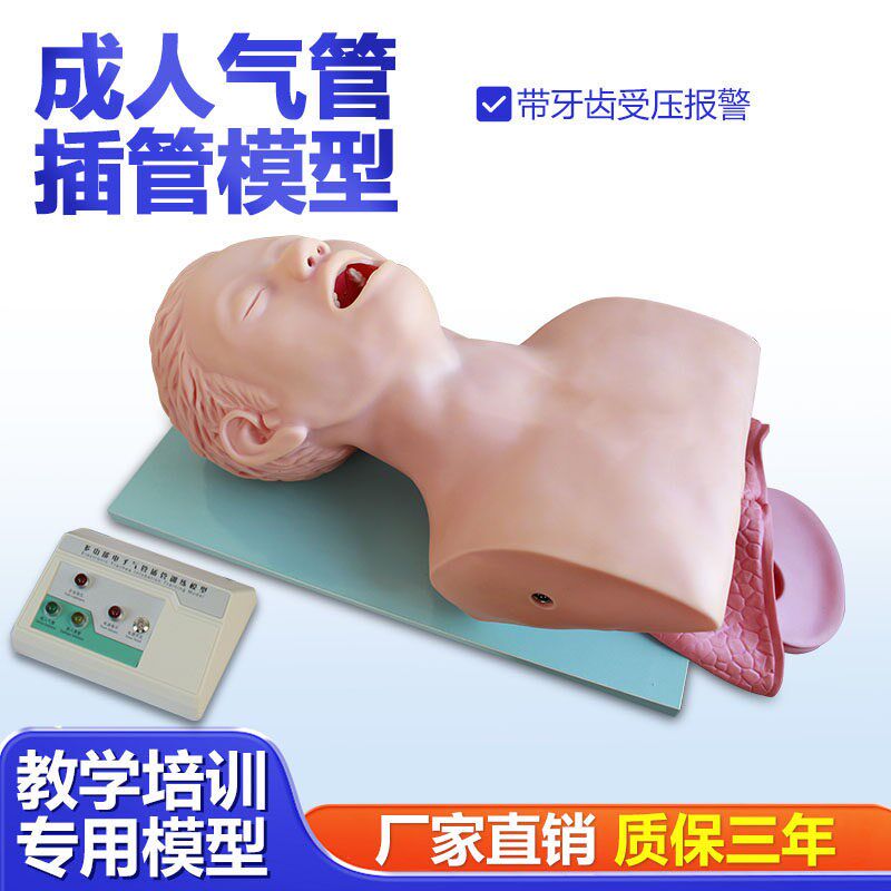 电子气管插管模型带牙齿警报成人气道人I体急救医学护理培训模拟