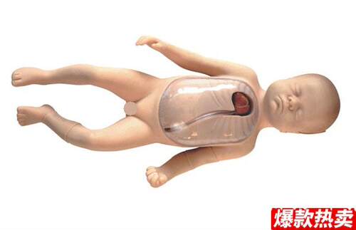 新生儿外周中心静脉插管模型医学教学X模型外周中心静脉插管模型