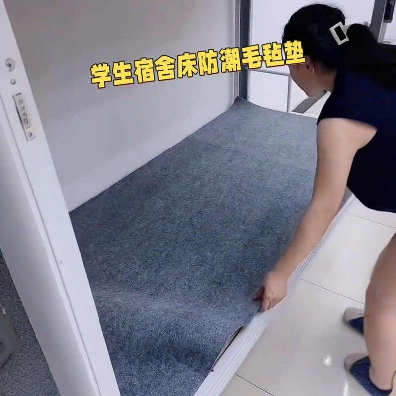 大学生宿舍专用床垫隔湿防霉防潮垫单人住校铺底隔脏防水毛毡垫子