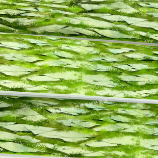 手帐分装胶带碧草砖叠江月令绿地路面古风PET素材账流麻贴纸咕卡