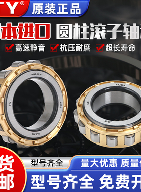 日本进口STY圆柱滚子轴承RN230 232 234 236 238 240 244 248 EM