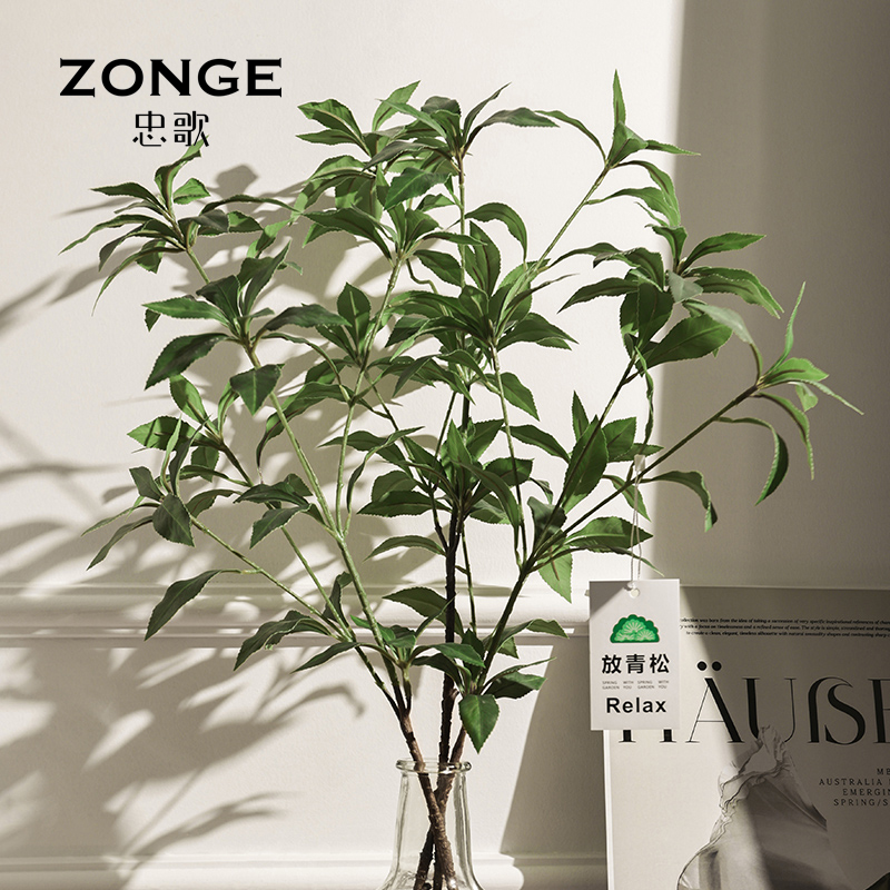 忠歌马醉木绿植装饰花艺