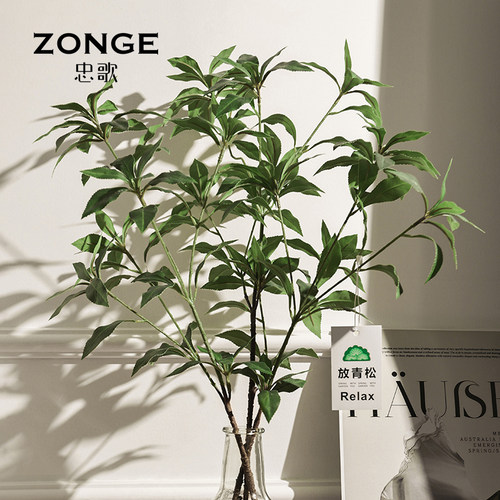 忠歌马醉木绿植装饰花艺