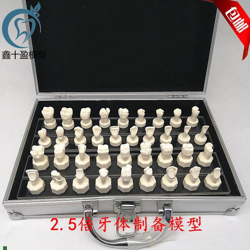 牙科口腔模型牙体制备模型2.5倍牙冠预备O烤瓷备牙基牙教学演示