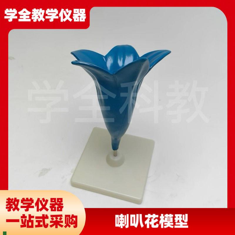 喇叭花放大模型初高中生物v课堂教学科教仪器喇叭花放大解剖模型