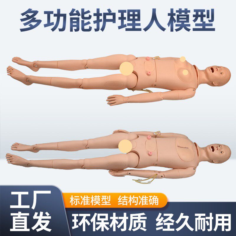高级男女性护理人体模型 灌w肠 插尿管 医学导尿技能操作护理模特