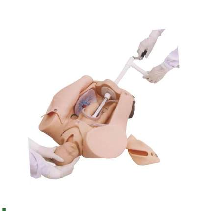 上海医模YfM/F53高级手摇分娩机制示教模型