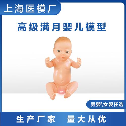 高级满月婴儿模型柔软可爱宝宝模型月嫂产科护士练U习模型男女婴