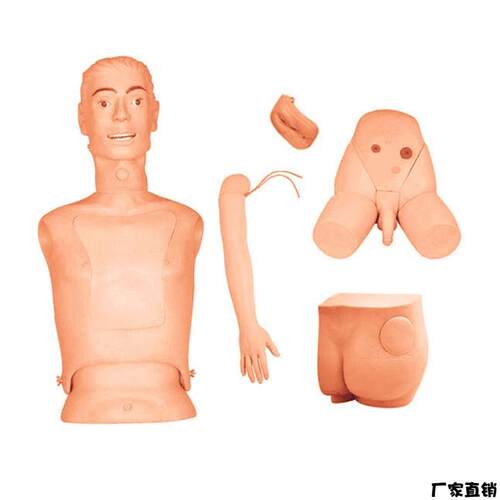 高级新型基础护理实习操q作模型基础护理教学模型基础教学模型
