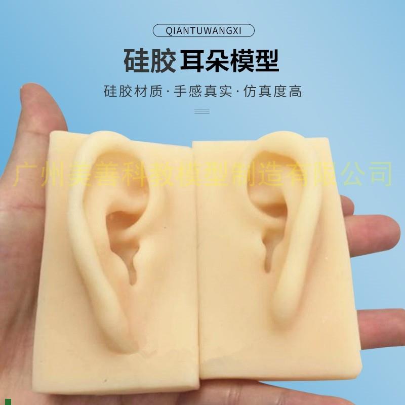 仿真耳朵模型耳模型硅胶耳朵E针灸耳朵成人11耳朵模型