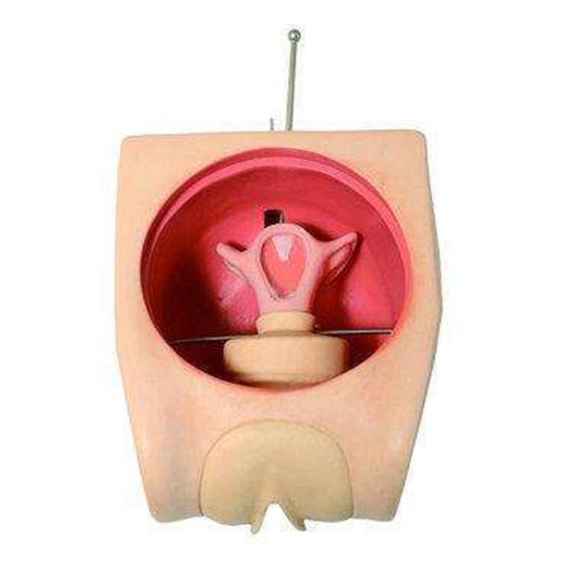 妇科技能a训练检查计划生育教学育练习模型宫内避孕器上环取环模