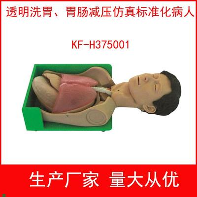 透明洗胃胃肠减压仿真标准化病D人透明洗胃模型护理技能训练