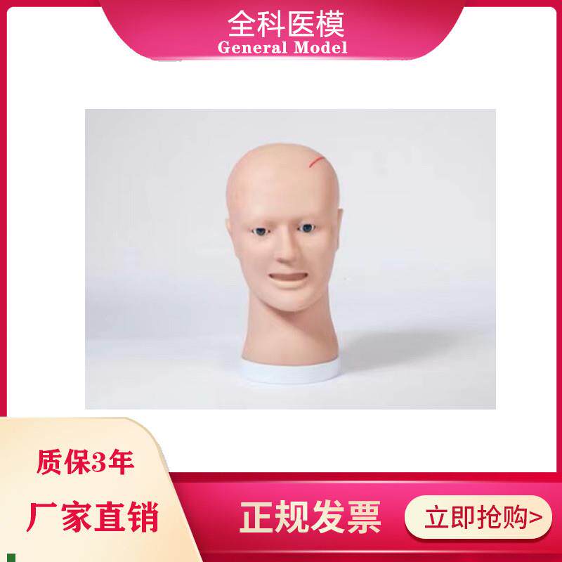 清创缝合i训练头部模型LV18