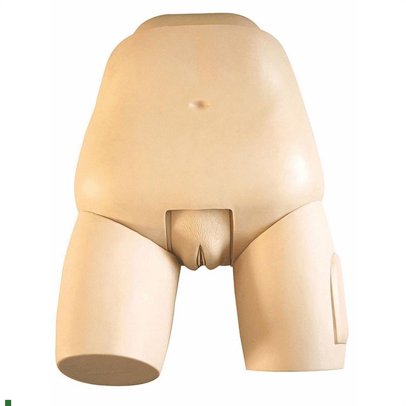 医学用人c体高级子宫底检查训练练习评定教学模型