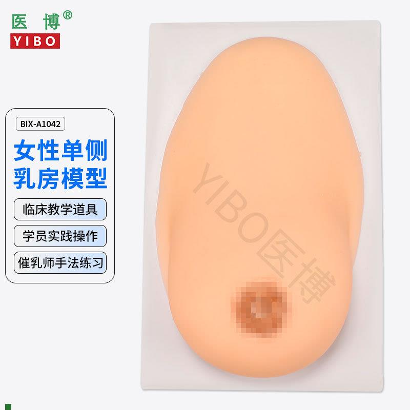 医博BIX-1042成人女性单侧硅胶乳房模型仿K真触感催乳手法训练教