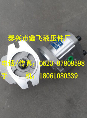 CBK1012 CBK1014 CBK1016 CBK1020 CBK1025齿轮泵B2RF B1RT B1LT