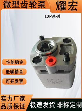 微型齿轮泵L2P-F0.8-LKB-NOBF系列油泵L2P-F2.1-LKB-NOBF齿轮泵