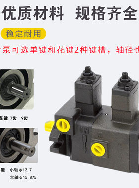 VPVCC中F3030高压VPKCC-F2020叶片泵TCVVP-F4040双联MVPVCC-F1212