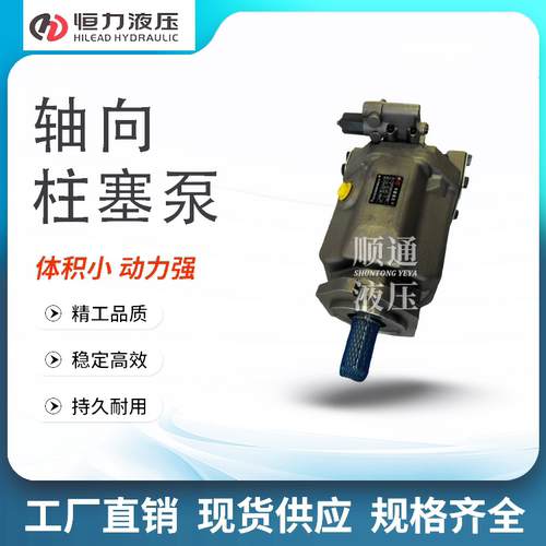 宁波恒力HL-A10VSO18245