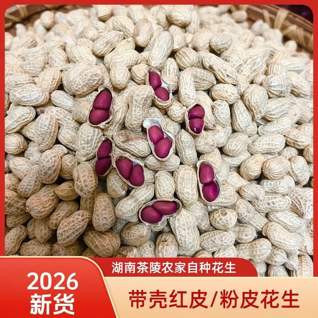 湖南茶陵老品种小子干花生带壳晒干新货农家生红皮花生粉皮干花生