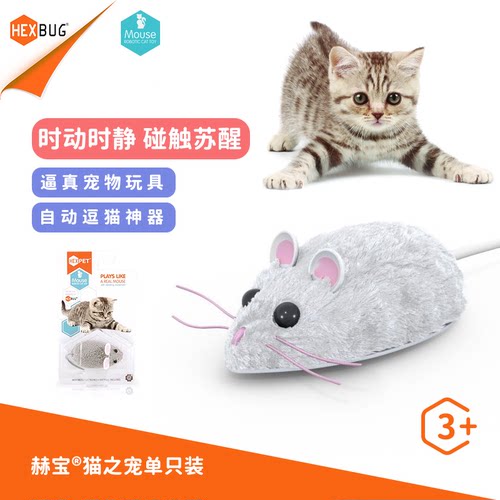 赫宝猫之宠萌宠电子宠物