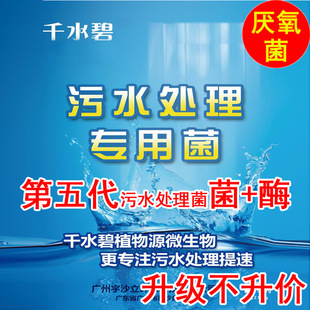 厌氧菌 生活污水处理菌 废水处理菌种 第五代 污水处理菌种 1000g