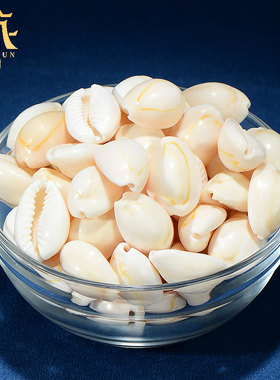 藏村供曼扎七宝石 天然贝壳藏族七宝石 八供修曼茶罗装饰装饰用品