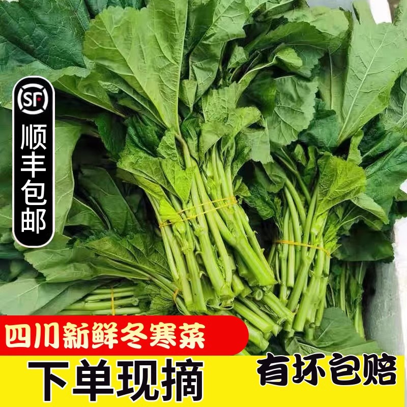 顺丰马蹄菜鲜味岭新鲜