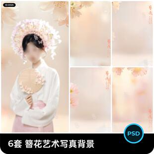 古风淡雅蟳蜅女簪花马面裙影楼艺术照写真修图背景psd设计素材
