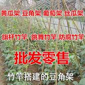 竹竿菜园搭架蔬菜豆角黄瓜番茄爬藤架园庭院家用架子小竹子细竹杆