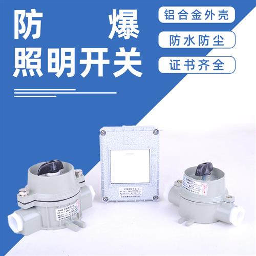 浙冠荣BQM防爆墙壁开关86型一开二开三开四开双控SW-10照明翘板