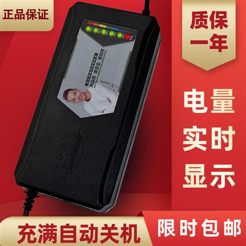 自动断电天能电瓶电动车充电器48V20AH60V20AH72v80V超威雅迪通用