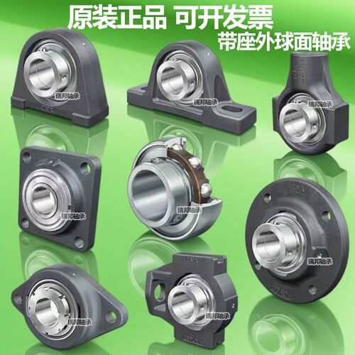 德国INA进口轴承 PASEY RASEY 12 15 16 17 20 25 30 35 40 -XL-N