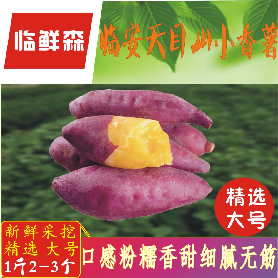 新品5斤装大号临安天目山小香薯新鲜现挖红薯板栗番薯地瓜黄心