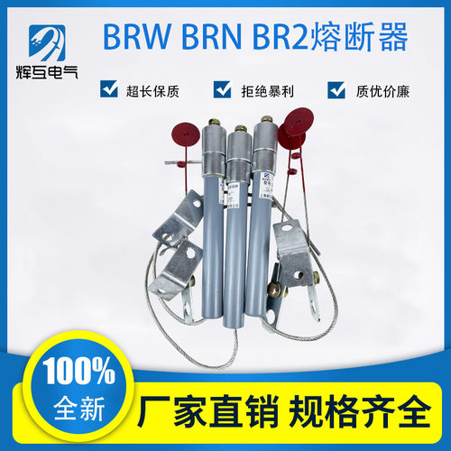 保险丝补偿并联电容BRWBRNBR2