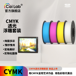 彩多屋3D打印耗材CMYK浮雕透光板套装 H2D 组合耗材PLA材料适配P2S
