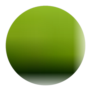 露天蒜苔蔬菜5斤农家蒜薹蒜台蒜毫山东新鲜3自种当季整箱非蒜苗