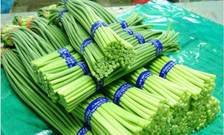 新鲜蒜薹  新鲜蔬菜蒜苔  净重5斤装包邮清爽可口鲜嫩。