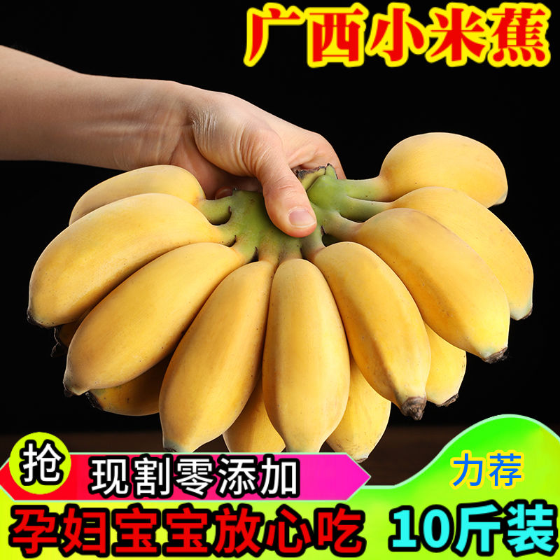 广西新鲜小米蕉带箱10斤香蕉芭蕉海南帝王蕉banana水果苹果粉蕉3-封面